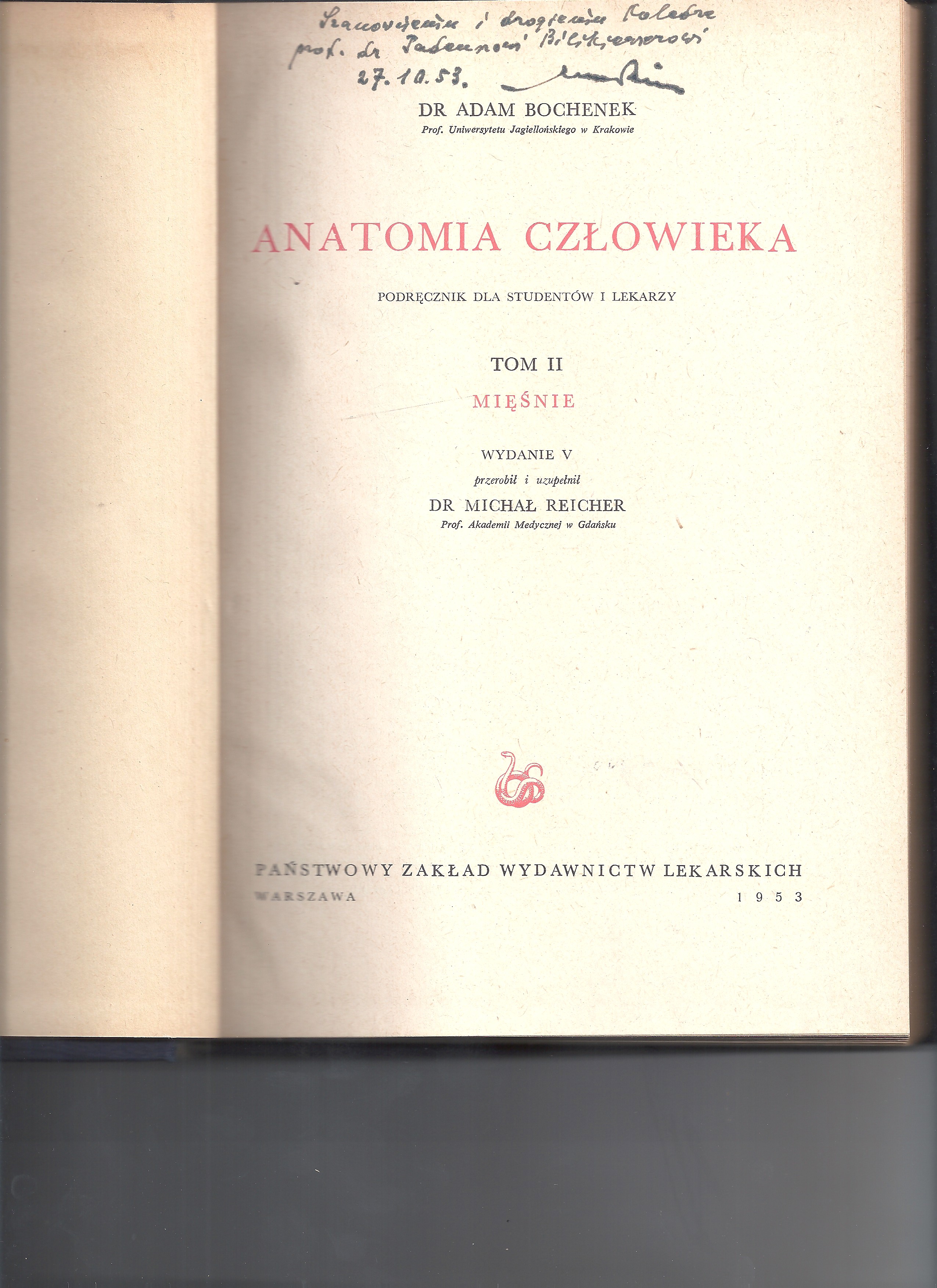Muzealna