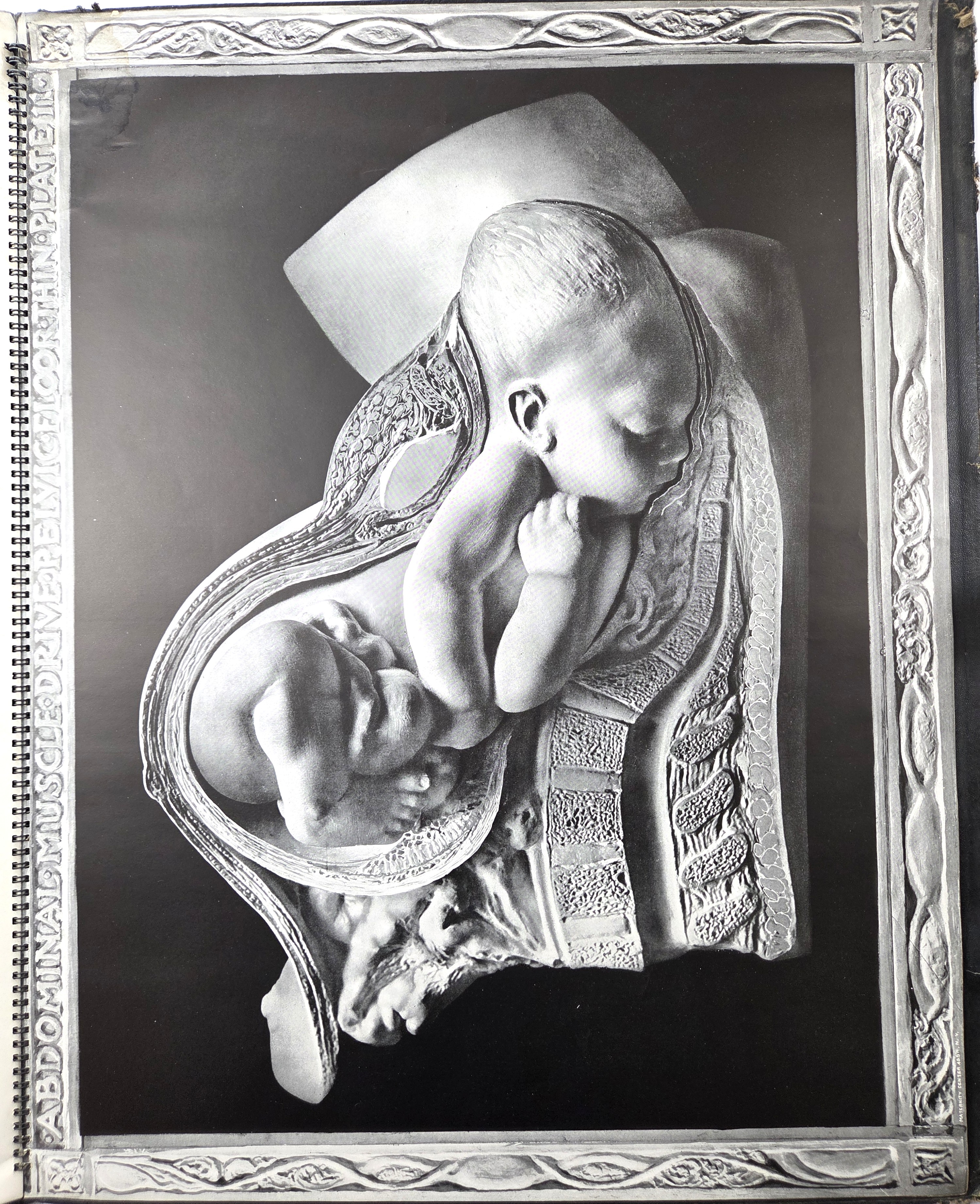 Birth atlas