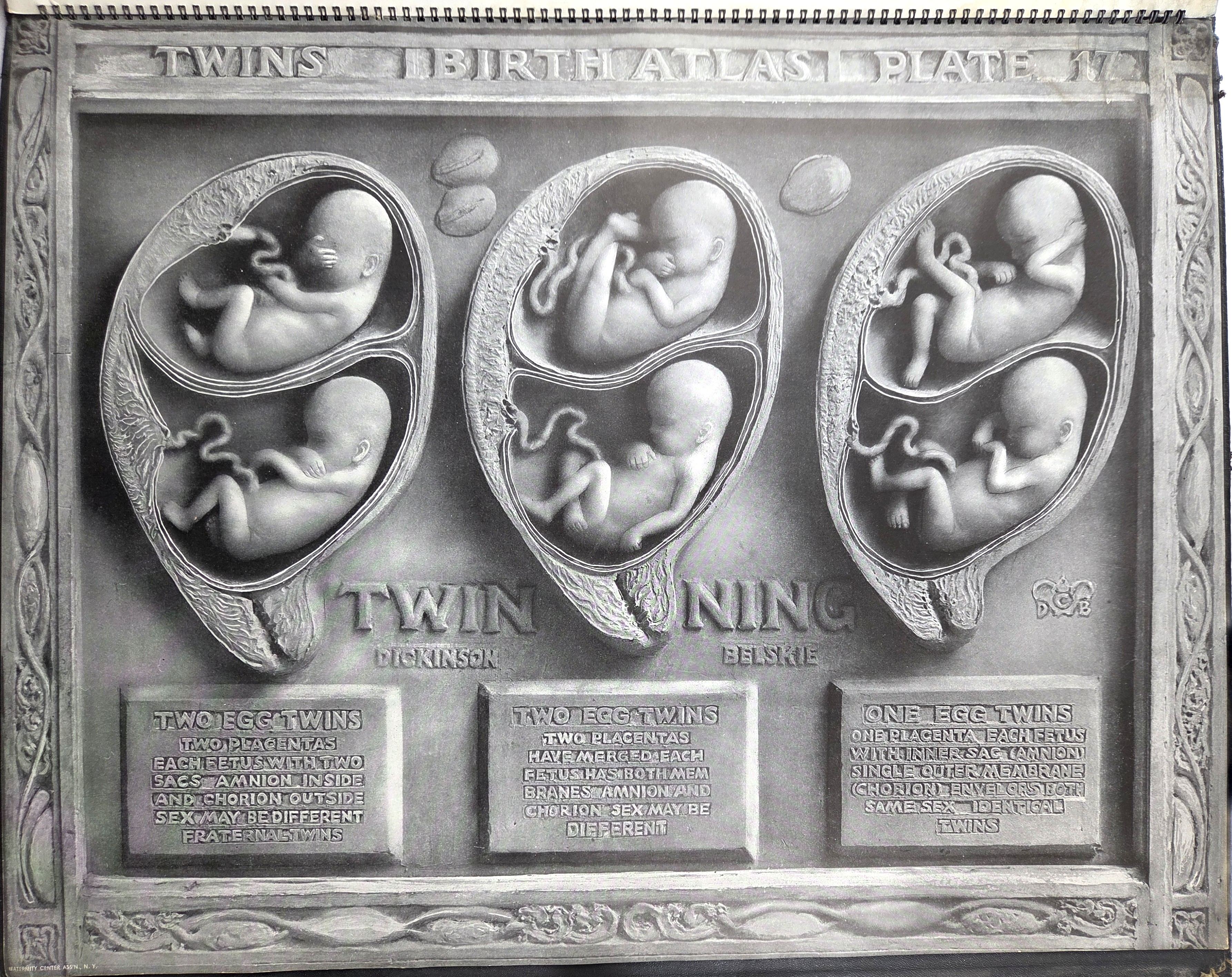 Birth atlas