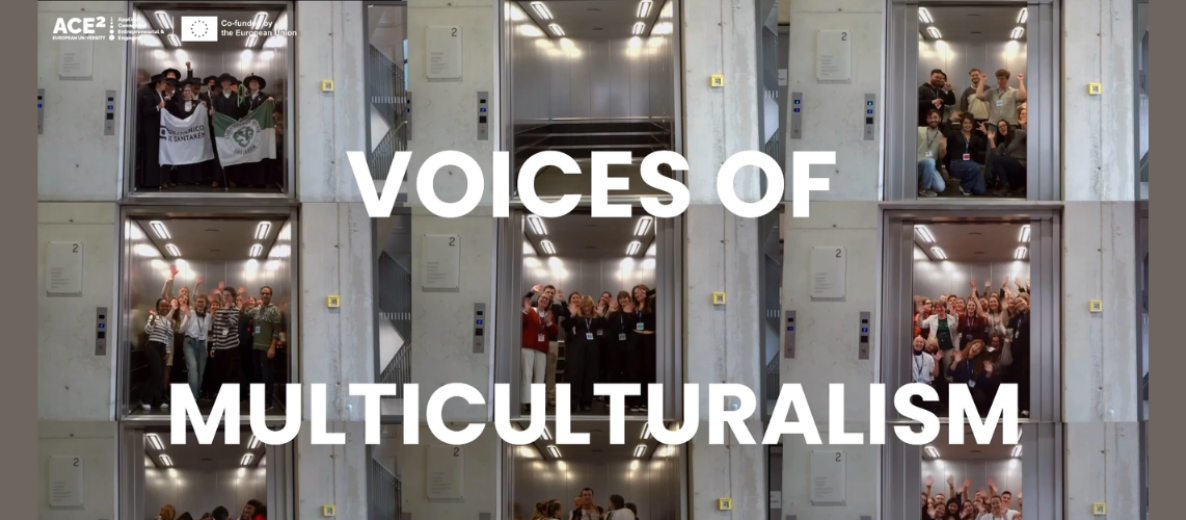 voices