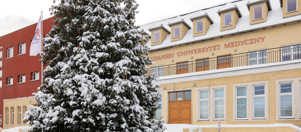 Budynek Atheneum Gedanense Novum GUMed zimą, z ośnieżonym drzewem przed wejściem