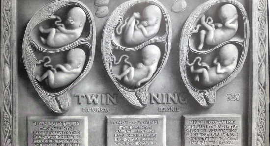 Birth atlas