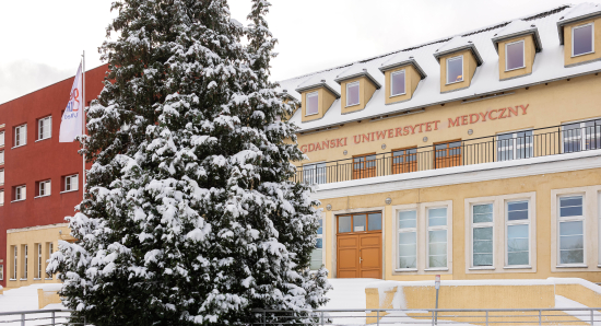 Budynek Atheneum Gedanense Novum GUMed zimą, z ośnieżonym drzewem przed wejściem