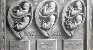 Birth atlas