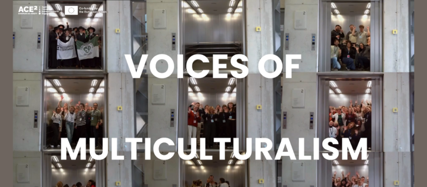 voices