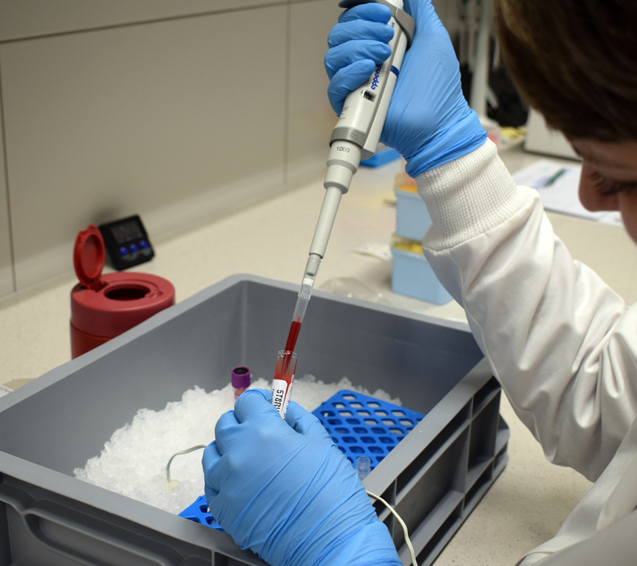 Wykonywanie zadań w Centralnym Biobanku