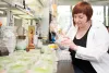 Międzyuczelniany Wydział Biotechnologii