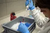 Wykonywanie zadań w Centralnym Biobanku